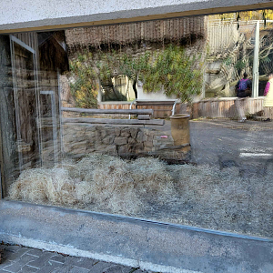 Otter indoor exhibit