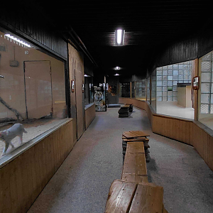 Inside the cat house