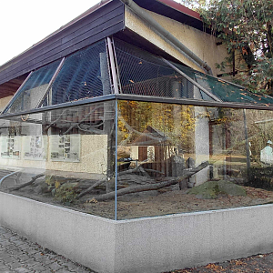 Gordon's wildcat outdoor exhibit