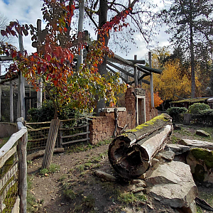 Gibbon + babirusa outdoor exhibits
