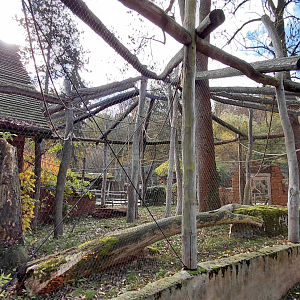 Gibbon + babirusa outdoor exhibits