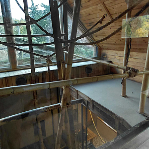 Gibbon indoor exhibit