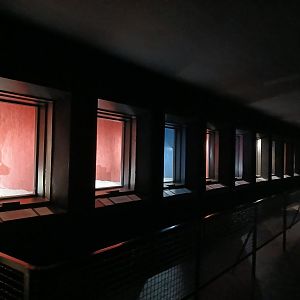 Dark Corridor (30th September 2025)