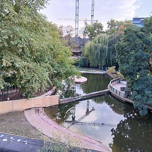 Pygmy Hippo enclosure (30th September 2025)