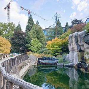 General autumnal view (30th September 2025)