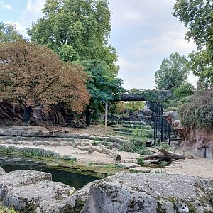 African Lion enclosure (30th September 2025)