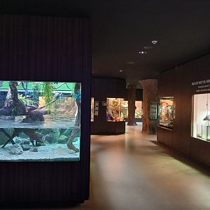 Reptile House general view (30th September 2025)