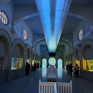 Aquarium general view (30th September 2025)