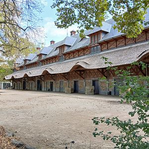 Rhino House (30th September 2025)