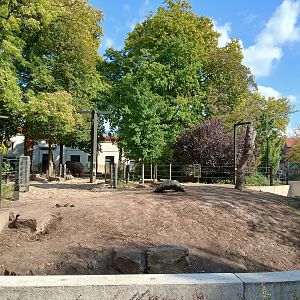 Asian Elephant paddock (30th September 2025)