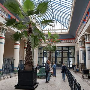 Giraffe House (30th September 2025)