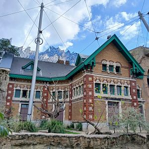 Savanna Aviary building (30th September 2025)