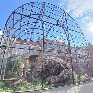 Macaw aviary (30th September 2025)