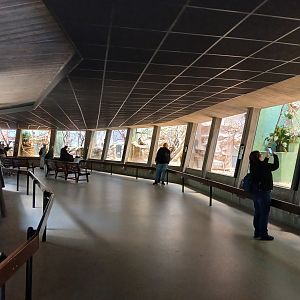 Monkey House interior (30th September 2025)