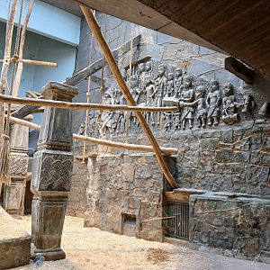 Monkey House - Spider Monkey exhibit (30th September 2025)