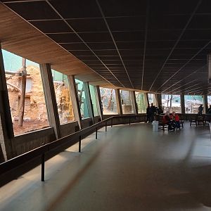 Monkey House interior (30th September 2025)