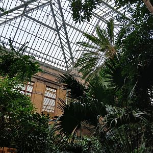 Butterfly House (30th September 2025)