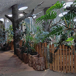 Inside the tropical house