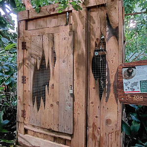Tamarin cage