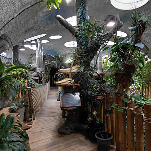 Inside the tropical house