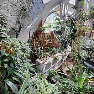 Inside the tropical house