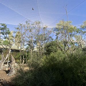 General view of Bosque Africano walkthrough