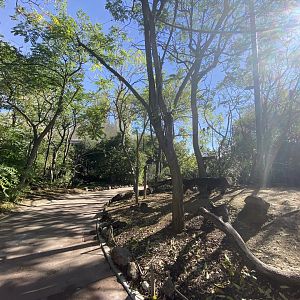 General view of Bosque Africano walkthrough 2