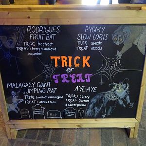 Sign inside the Casson Pavilion