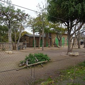 General view of Giraffe House