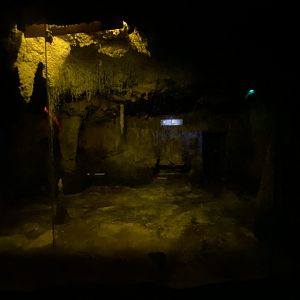 1st Egyptian fruit bat enclosure