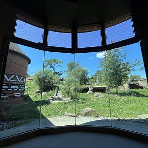 Below window viewing of the African Lion exhibit.