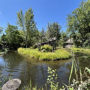 Lemur Island home to the Ring tailed lemur and Black and White Ruffed Lemur