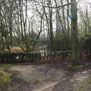 Pond and forest area between the road and the European section, 2024-03-20