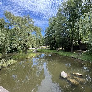 Flamingo exhibit from the boardwalk