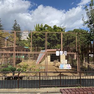 Red Kangaroo Enclosure (Himeji City Zoo)