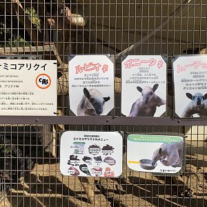 Southern Tamandua Signage (Himeji City Zoo)