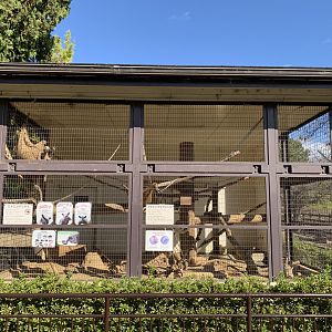 Southern Tamandua Enclosure (Himeji City Zoo)