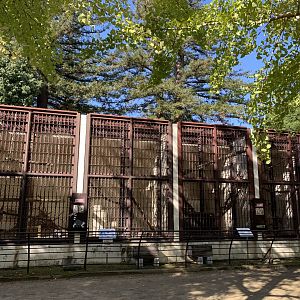 Ring-tailed Lemur Enclosures (Himeji City Zoo)