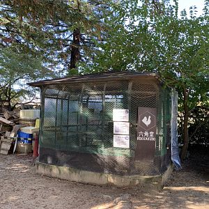 Chicken and Pigeon Enclosure (Himeji City Zoo)