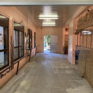 Hippo and Reptile House Interior (Himeji City Zoo)