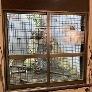 Turtle Exhibit (Himeji City Zoo)