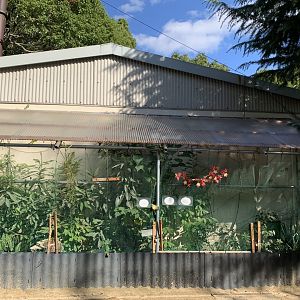 Tortoise Enclosure (Himeji City Zoo)