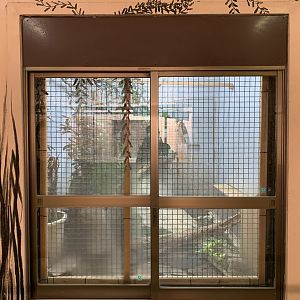 Ball Python Exhibit (Himeji City Zoo)