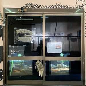 Corn Snake Exhibits (Himeji City Zoo)