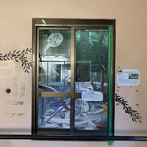 Nile Monitor Exhibit (Himeji City Zoo)