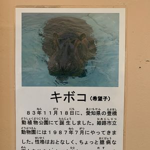 Hippo Sign (Himeji City Zoo)