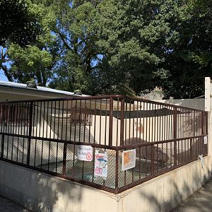Hippo Enclosure (Himeji City Zoo)
