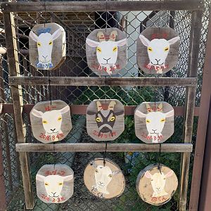 Goat Signage (Himeji City Zoo)