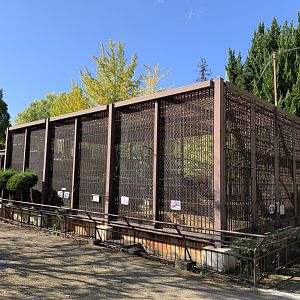 Black-and-white Ruffed Lemur Enclosure (Himeji City Zoo)