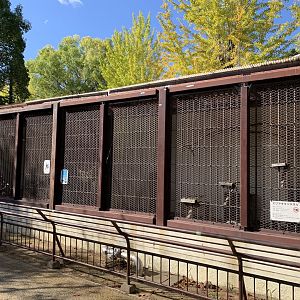 Black-and-white Ruffed Lemur Enclosure (Himeji City Zoo)